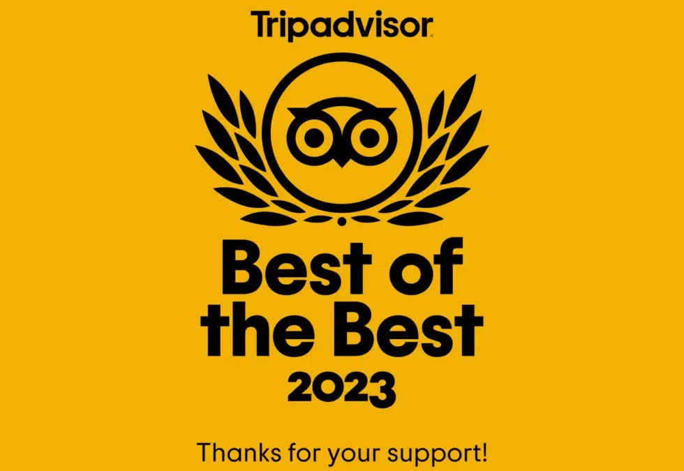 Traveller’s Choice 2023 Best of the best